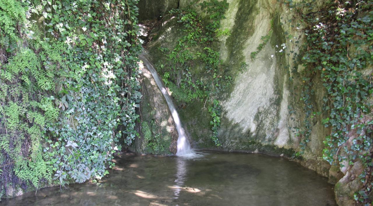 La Cascata Negli Ulivi Panzió Toscolano Maderno Kültér fotó