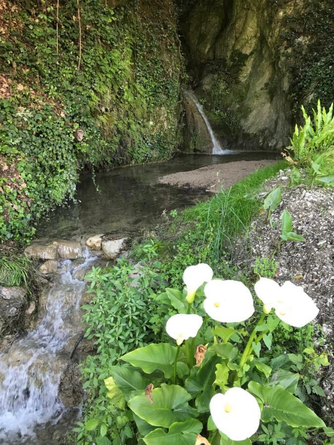 La Cascata Negli Ulivi Panzió Toscolano Maderno Kültér fotó